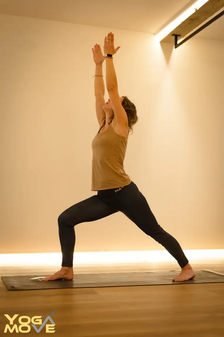 Vinyasa Yoga Move