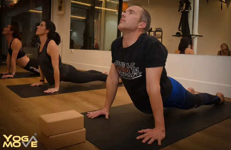 Vinyasa Yoga Move