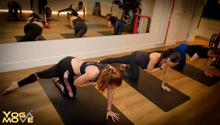 Movimiento Natural Yoga Move  Madrid Centro